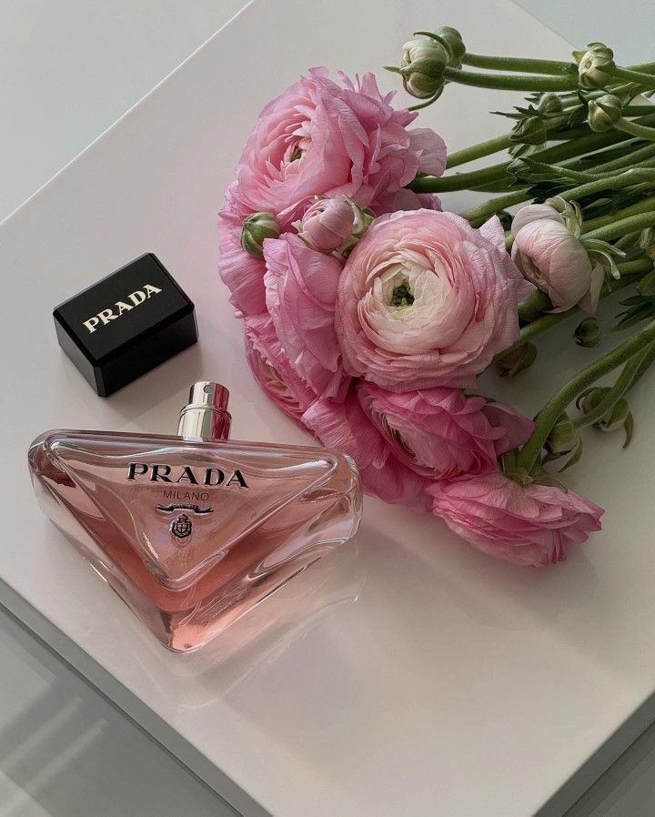 Prada Paradoxe